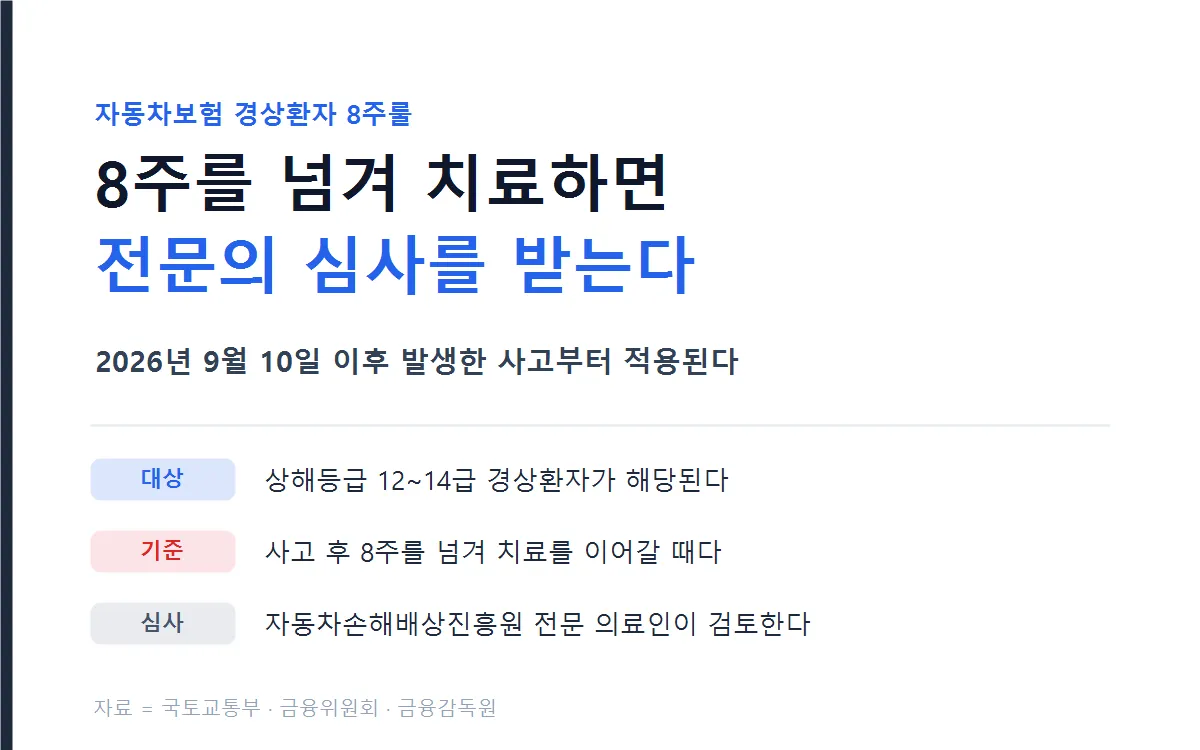 자동차보험 경상환자 8주룰 요약