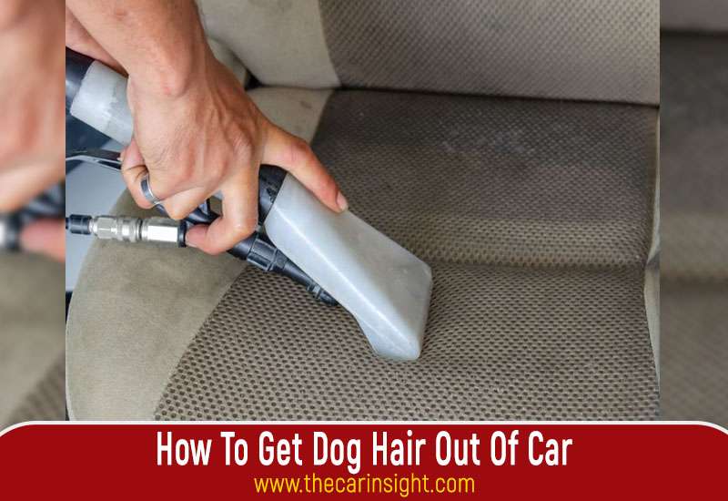 How To Get Dog Hair Out Of Car