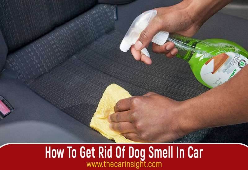 How To Get Rid Of Dog Smell In Car