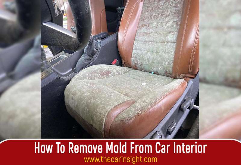 How To Remove Mold From Car Interior