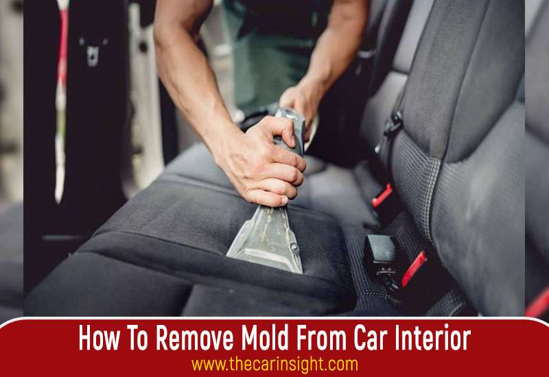 How To Remove Mold From Car Interior